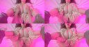 PEWORLD029753