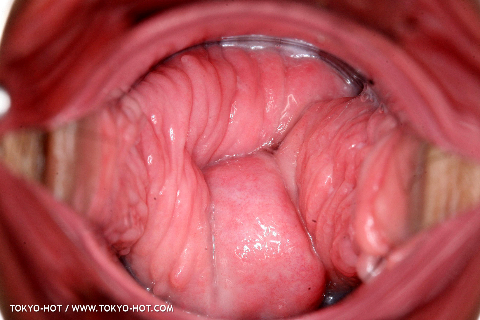 青木 りん 東京 熱