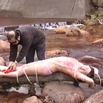 shima0370 志摩紫光伝説高詳細４K保存版38 剧照36