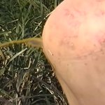 shima0371 志摩紫光伝説高詳細４K保存版39 剧照78
